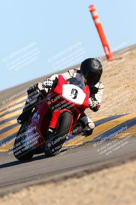 media/Feb-12-2022-SoCal Trackdays (Sat) [[3b21b94a56]]/Turn 12 (140pm)/